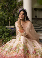 Dolla Silk Gown in Peach Colour